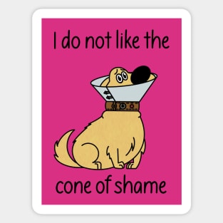 Cone of Shame Sticker